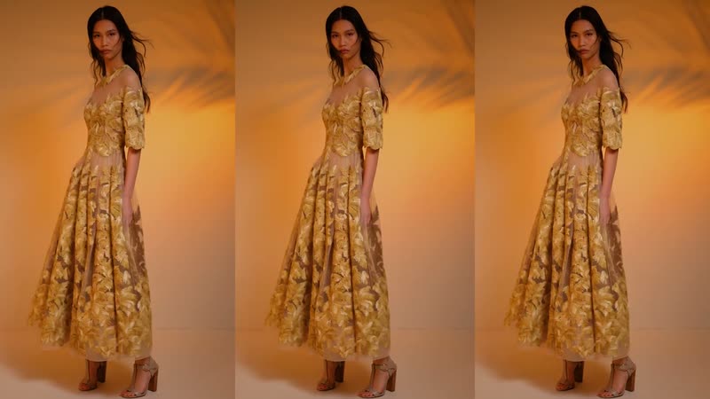 Кадр 3 из видео: Elie Saab